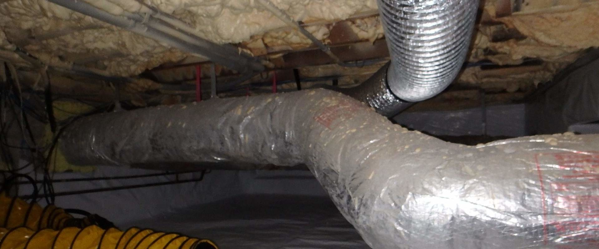 The Vital Role of HVAC Air Duct Mold Remediation in Miami Beach FL HVAC Repairs for Mold-Free Homes